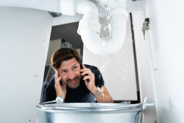 Best Faucet Repair  in Inglis, FL