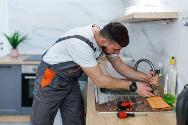 Best Local Plumber Services  in Inglis, FL