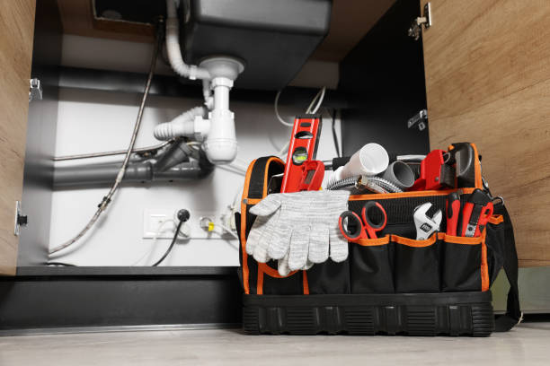 Best Affordable Plumbing Services  in Inglis, FL