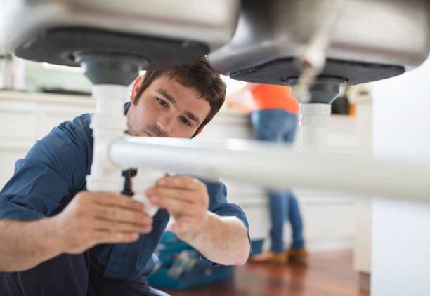 Best Plumbing Inspection Services  in Inglis, FL