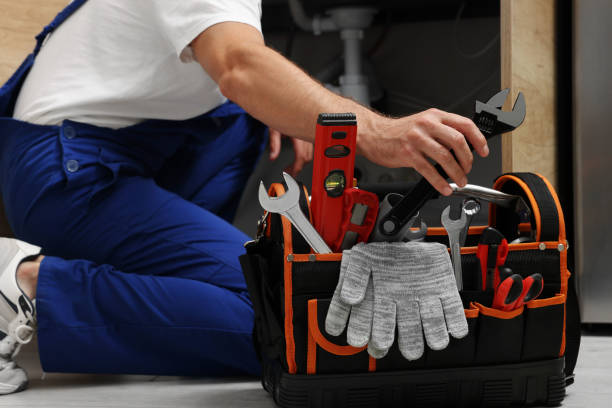 Best Clogged Drain Plumber  in Inglis, FL